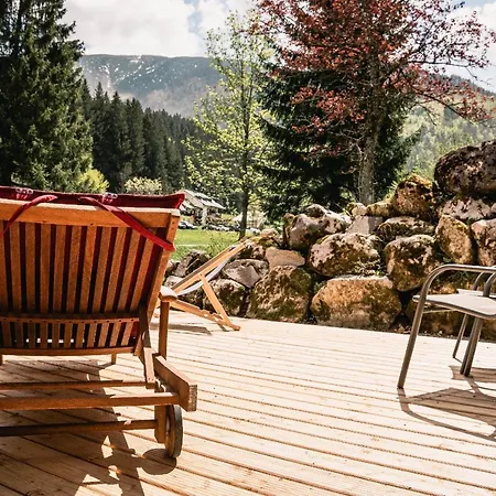 Apartment Mountainlodge Am ötscher Lackenhof
