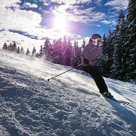 Mountainlodge Am Oetscher 公寓