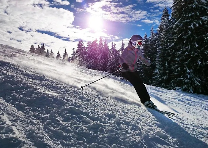 Mountainlodge Am Oetscher Apartman